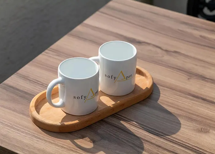 公寓式酒店 Sofyapart 特拉布宗